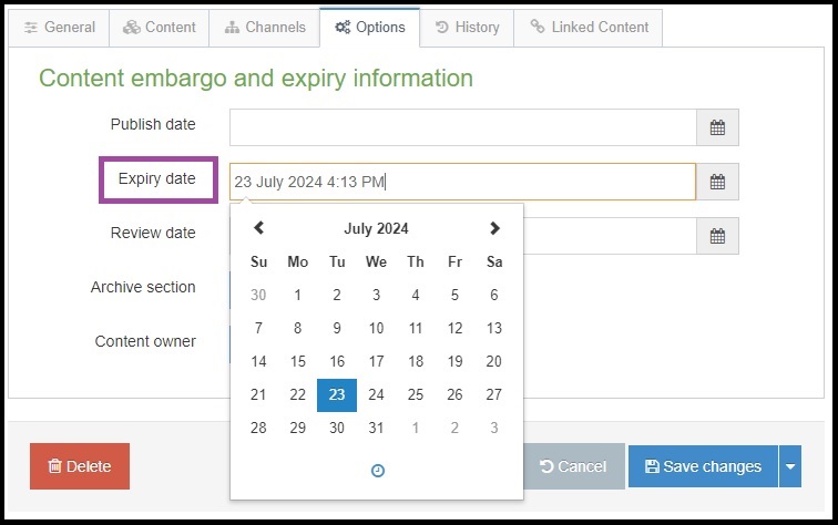 Screen shot of t4 showing that the expiry date field is located in the options tab.
